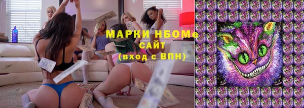 apvp Белокуриха