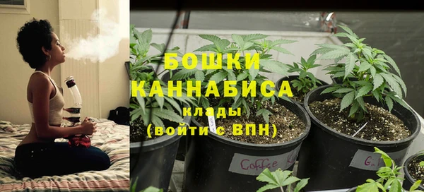 apvp Белокуриха